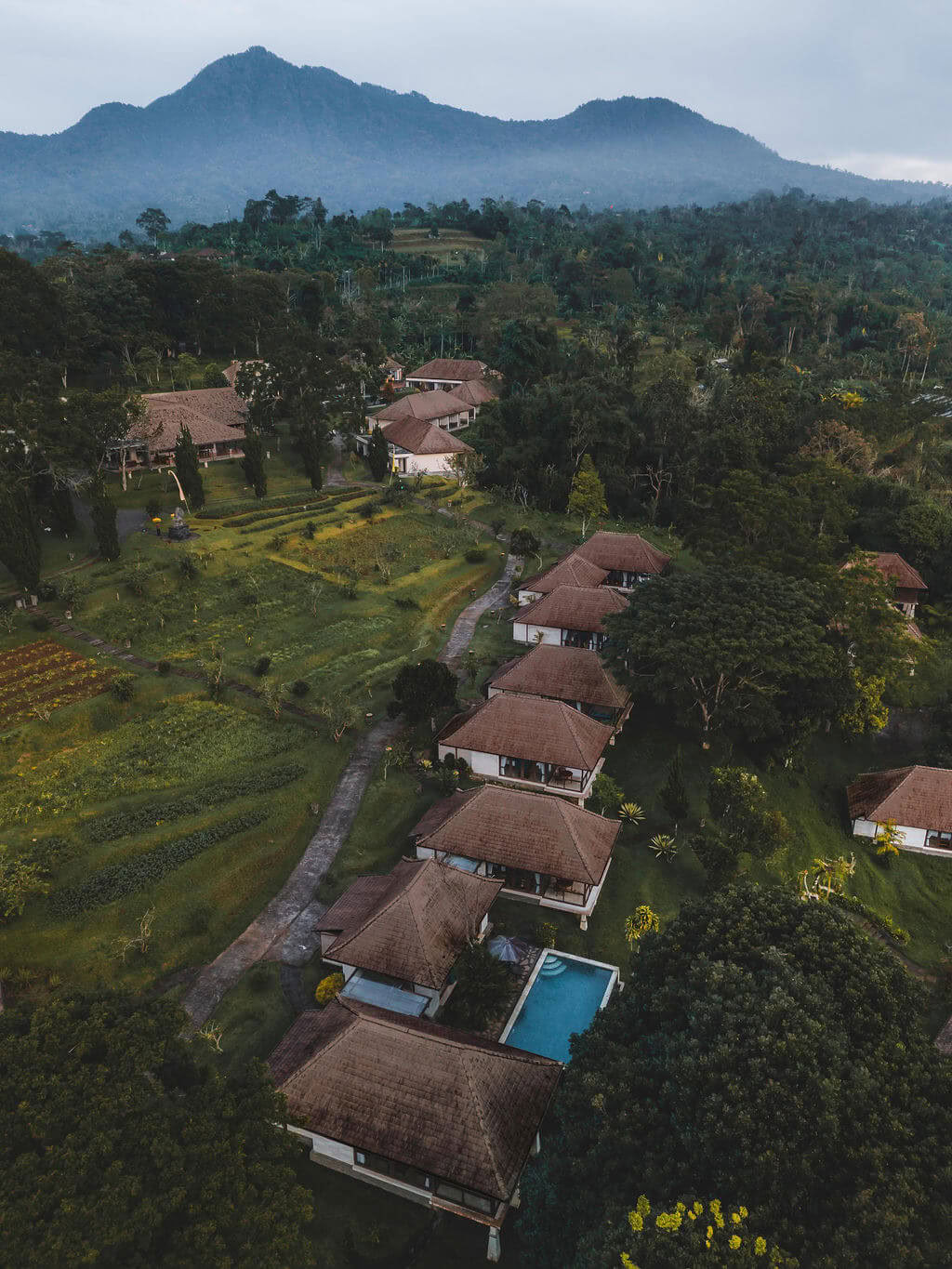 Meditationslärarutbildning på Bali, Pelaga