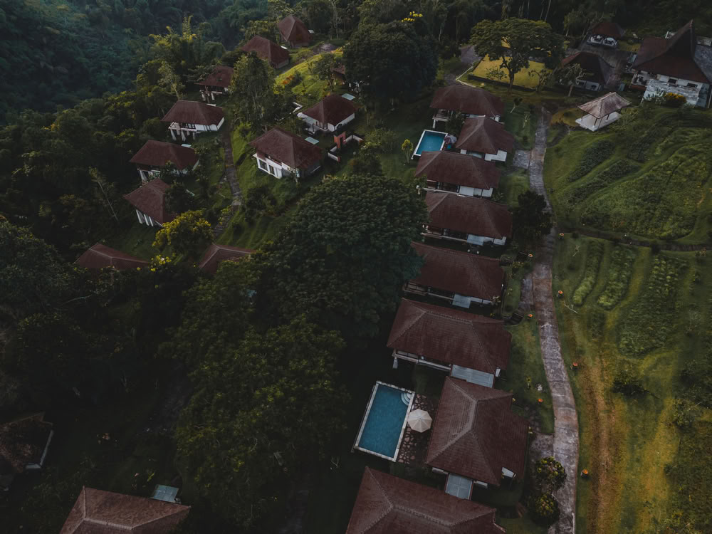 200-timmars YTT i Pelaga, Bali – 26 okt. – 14 nov. 2026