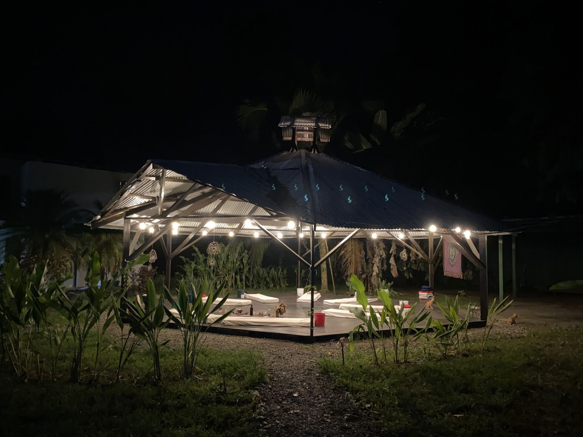 Hemlig fristad Ayahuasca-retreat – 3–10 oktober