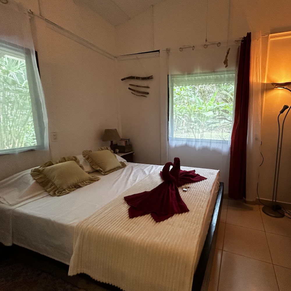 Hemsanctuary Ayahuasca-retreat – 7–14 november