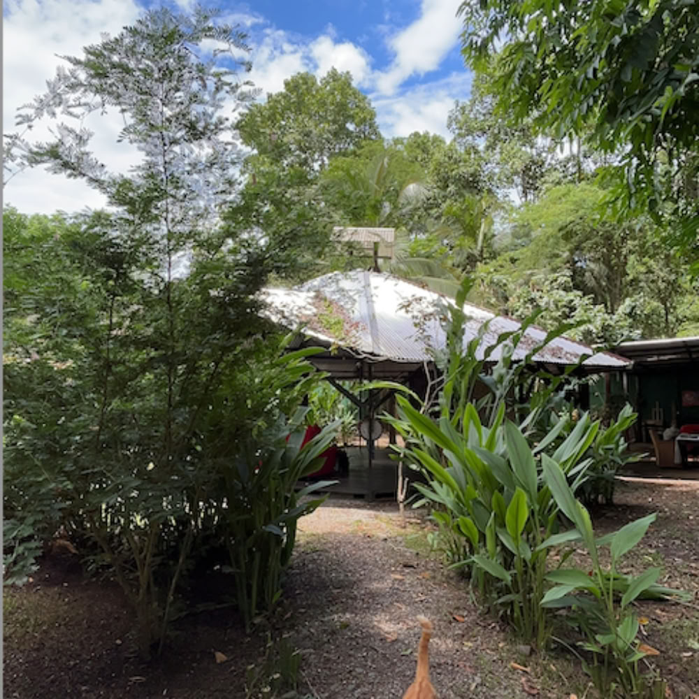 Hemlig fristad Ayahuasca-retreat – 5–12 december