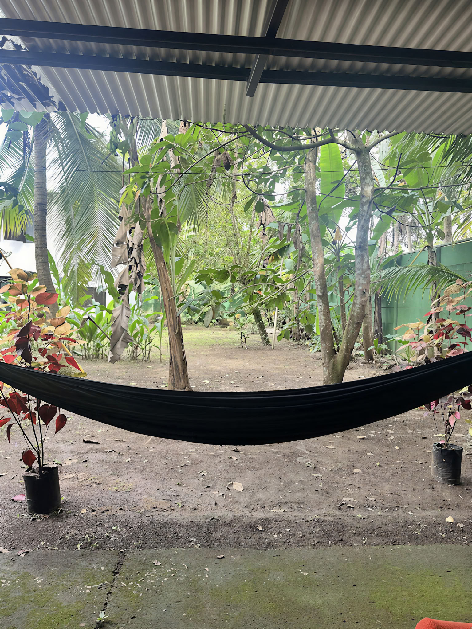 Hemlig fristad Ayahuasca-retreat – 5–12 december
