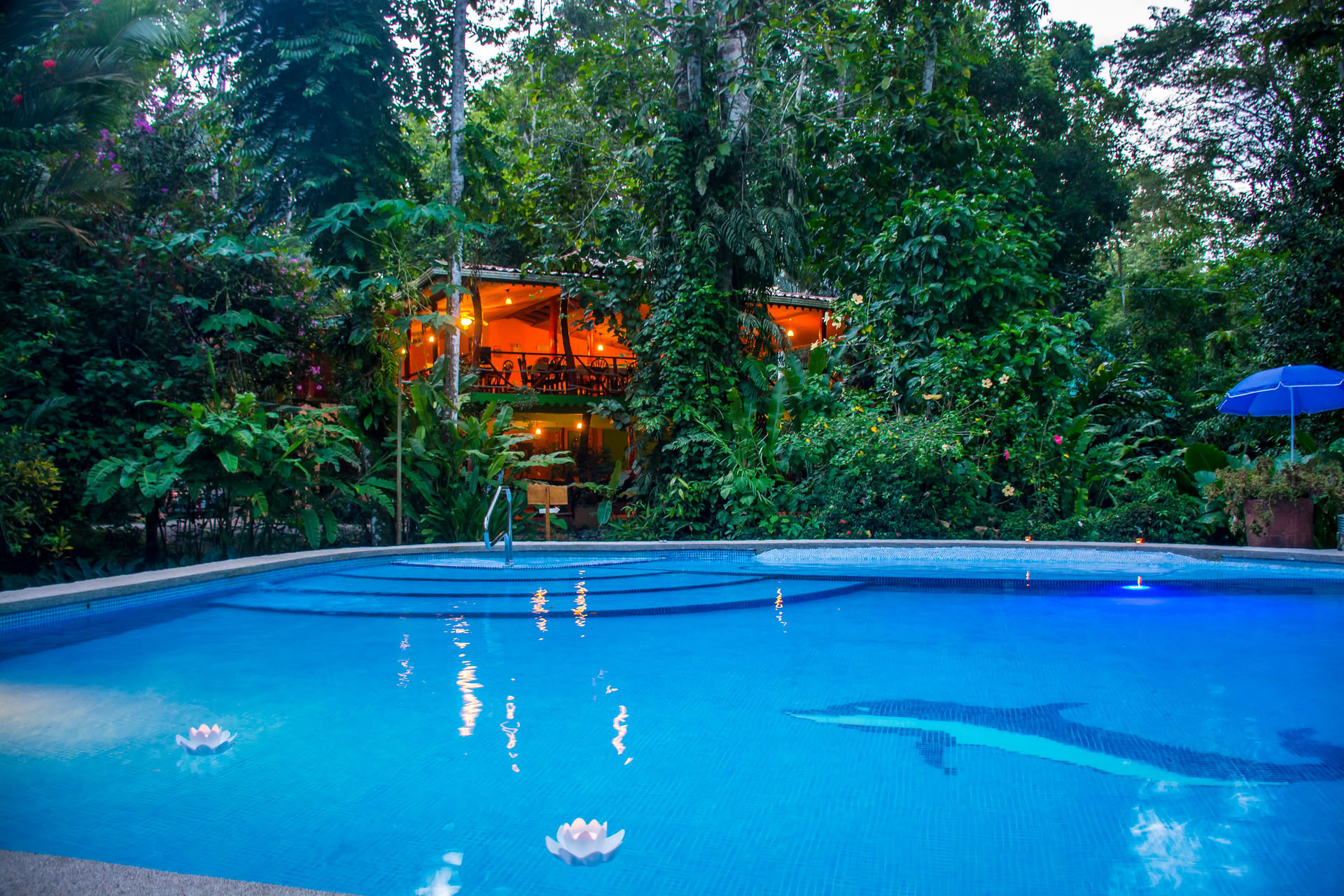 Shipibo-healingretreat