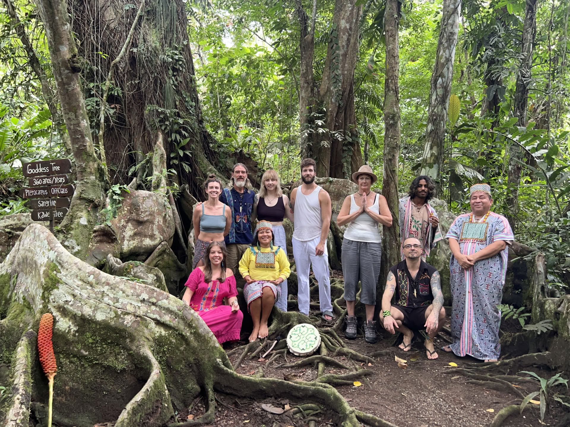 Shipibo-healingretreat