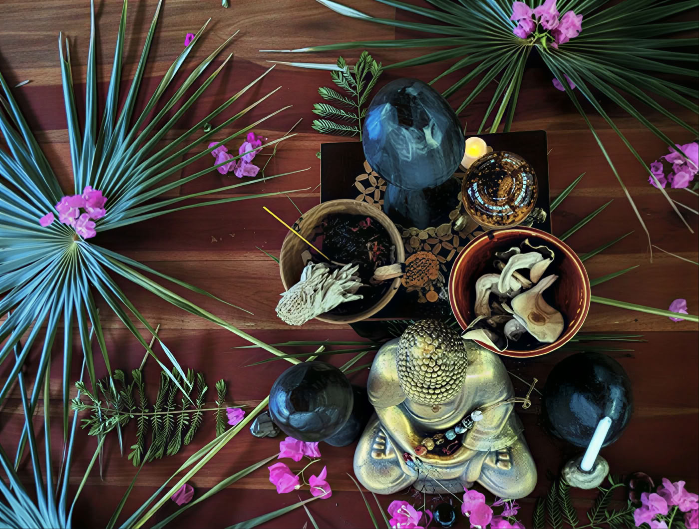 6-dagars psilocybin-retreatprogram