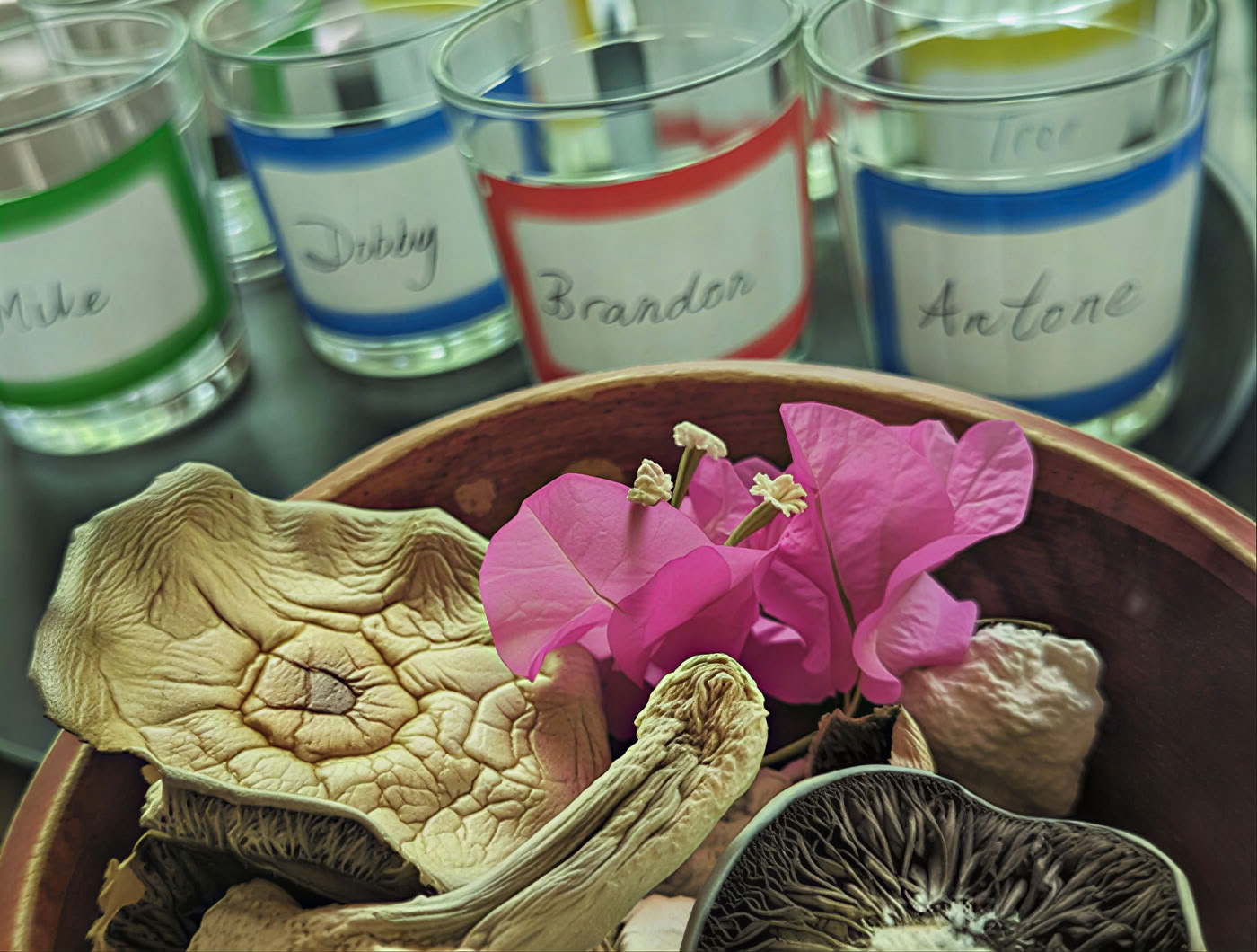 6-dagars psilocybin-retreatprogram