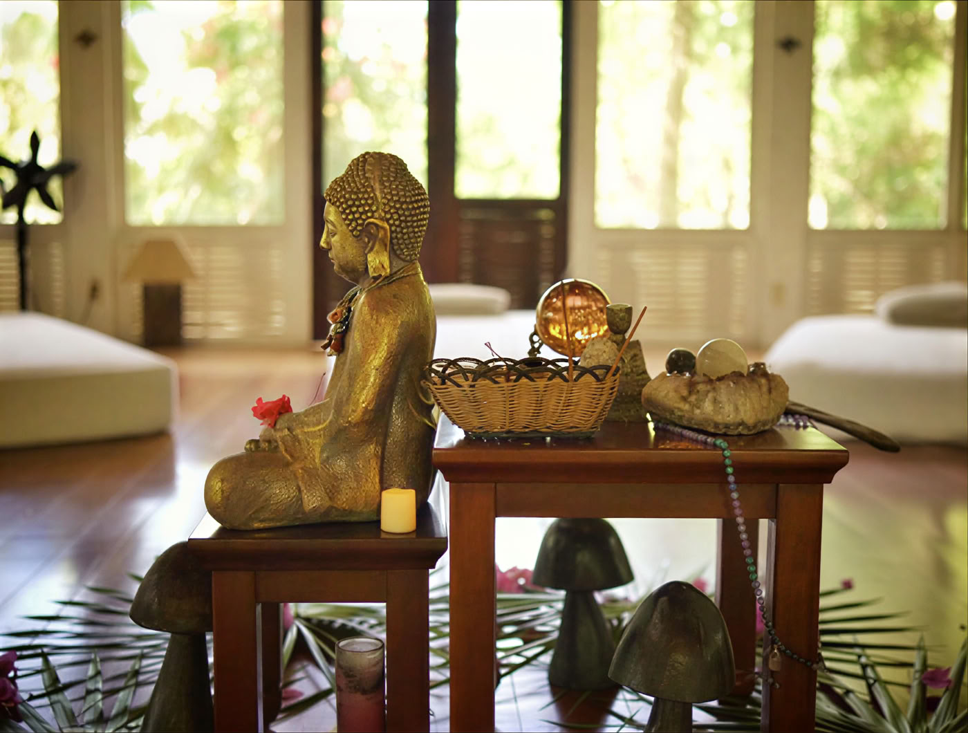 6-dagars psilocybin-retreatprogram