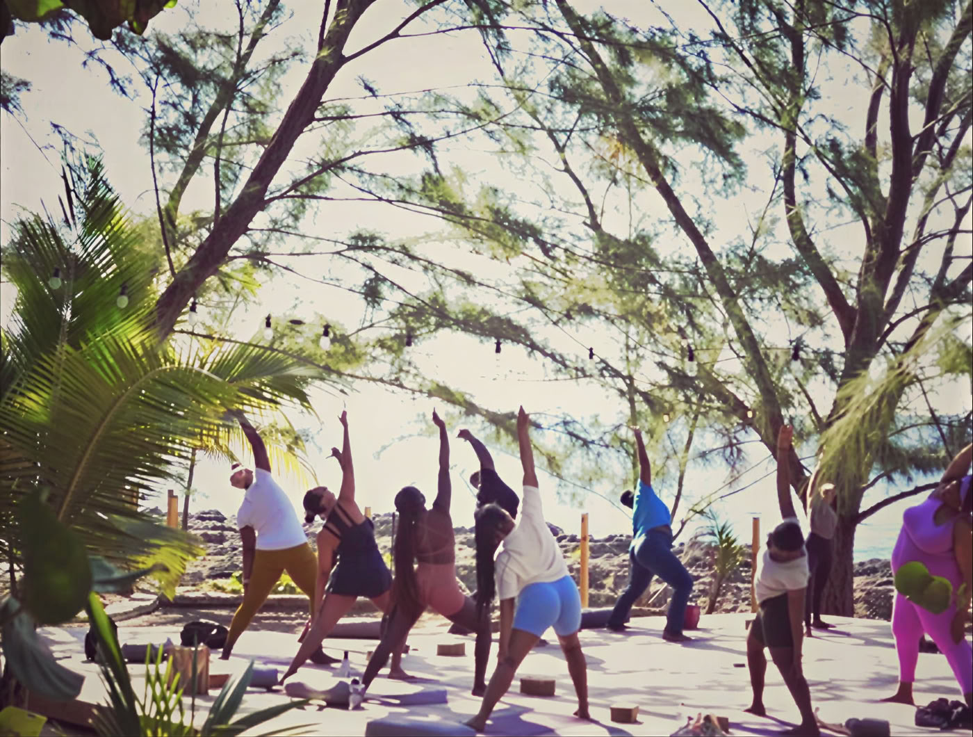 6-dagars psilocybin-retreatprogram
