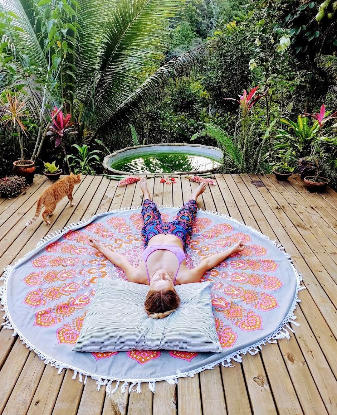 4-dagars privat ayahuasca-retreat