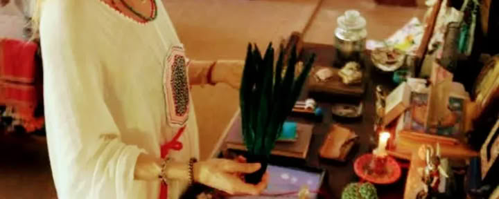4-dagars privat ayahuasca-retreat