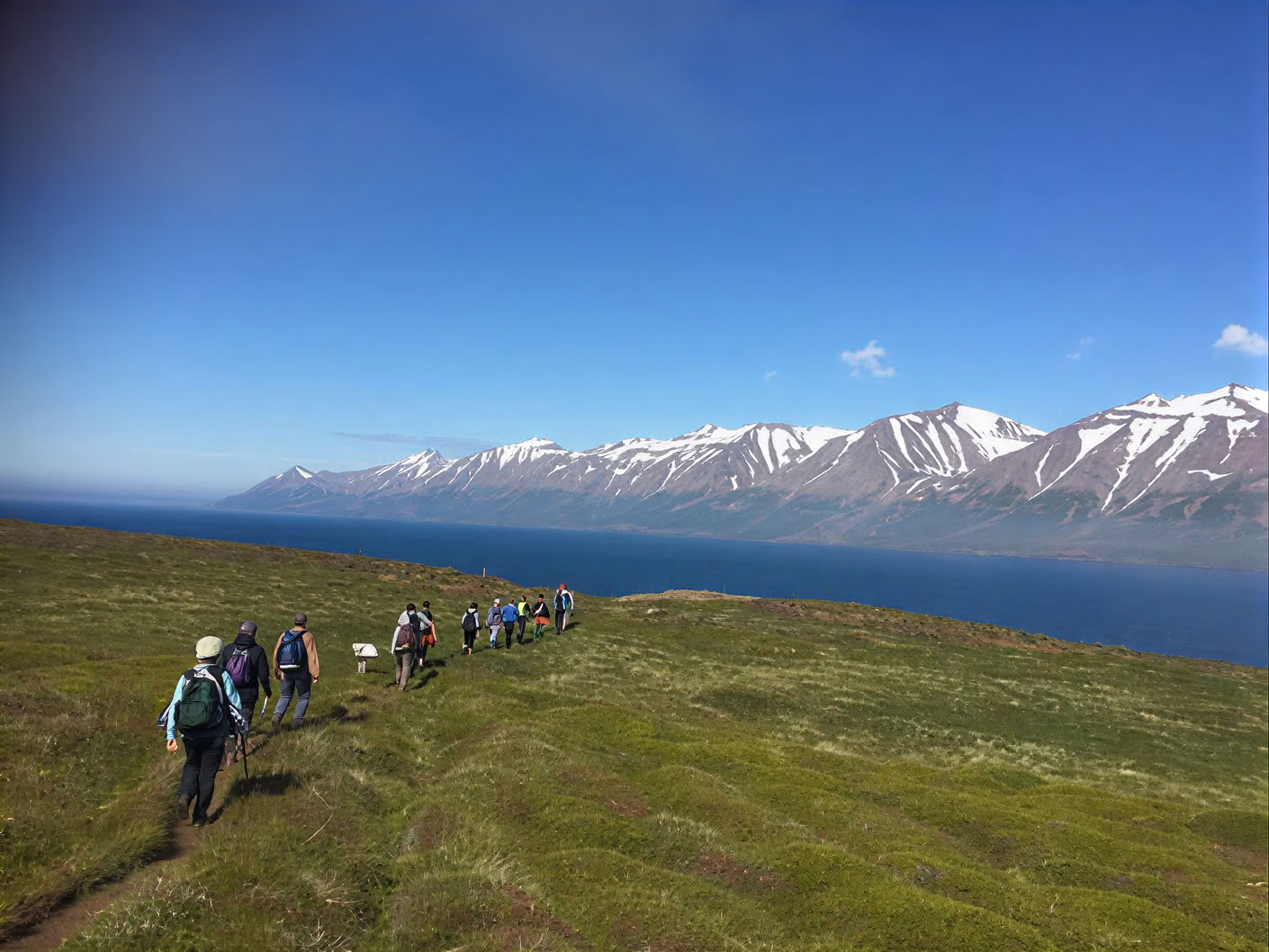 Yoga- och vandringsretreat under midnattssolen på Island – datum 2025