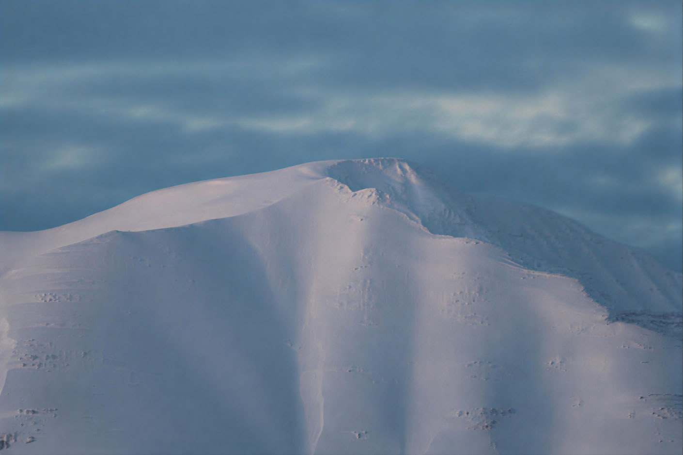 Valskådning i Akureyri