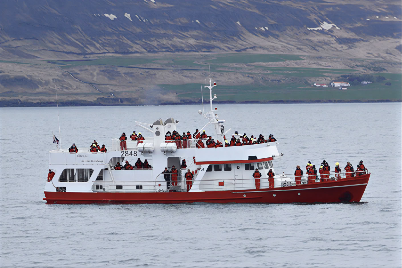 Valskådning i Akureyri