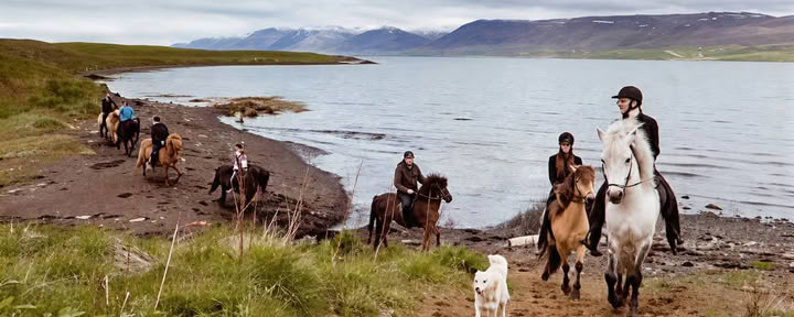 Akureyri norrskenskryssning
