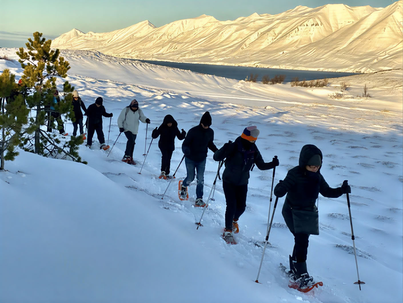 Yogaretreat under norrskenet på Island – datum vintern 2026