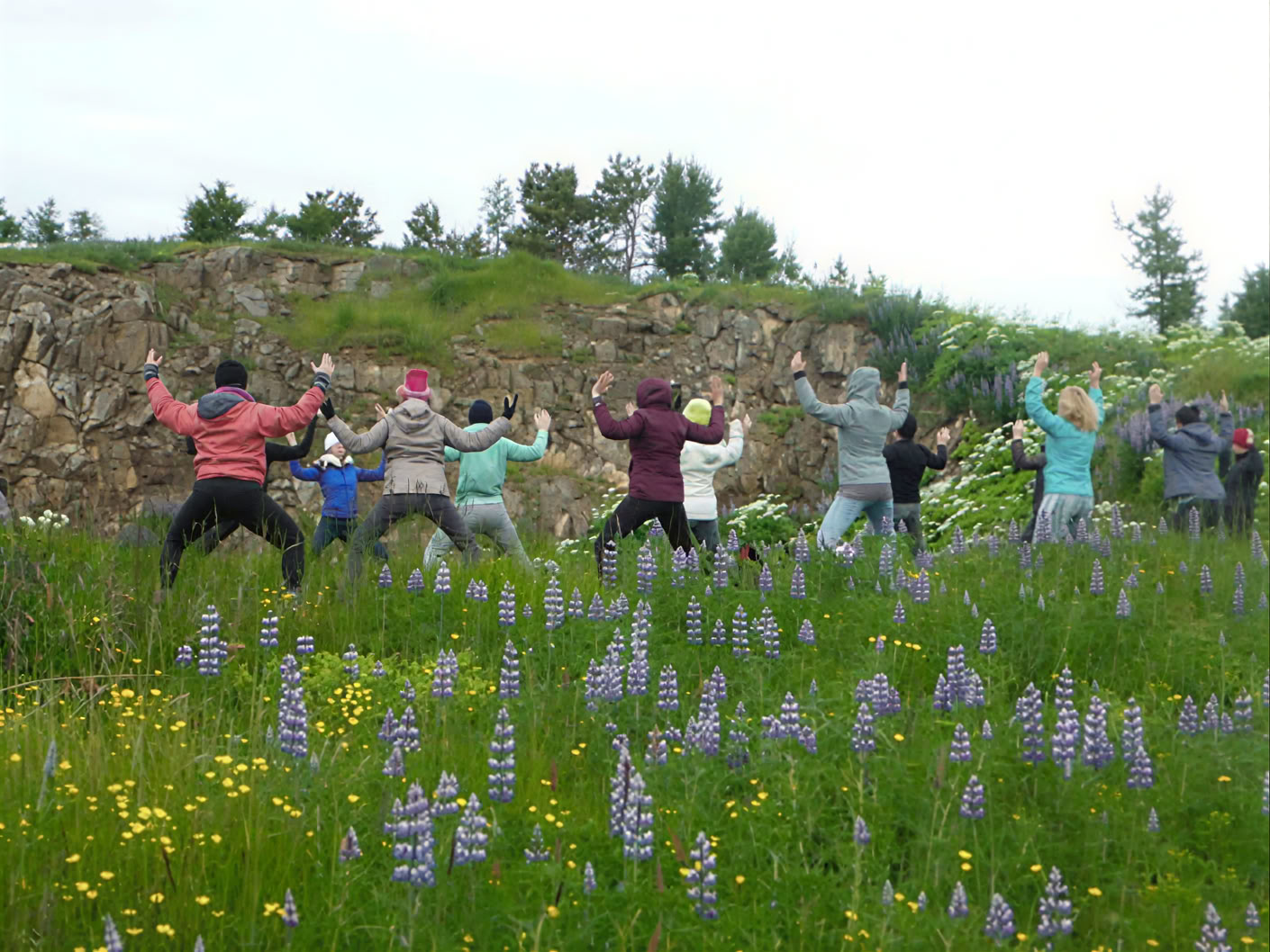 Yoga- och vandringsretreat under midnattssolen på Island – datum 2026