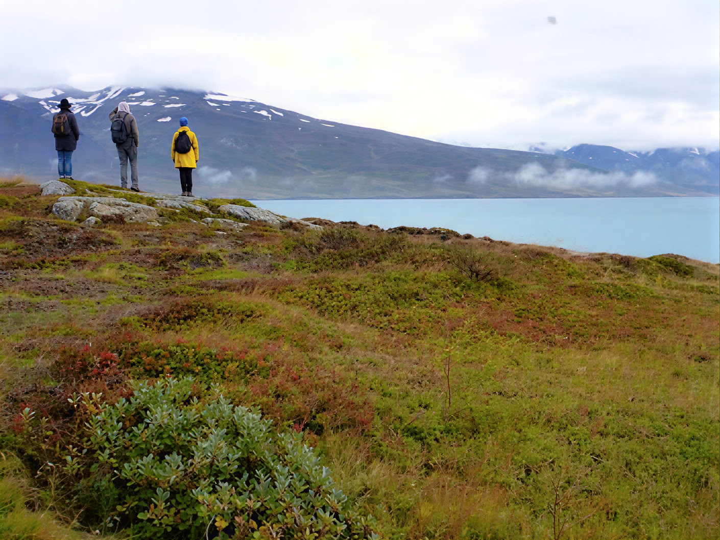 Yoga och vandring – höstretreat på Island