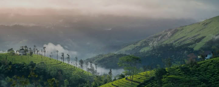 Yoga-retreater i Kerala med Ira Trivedi