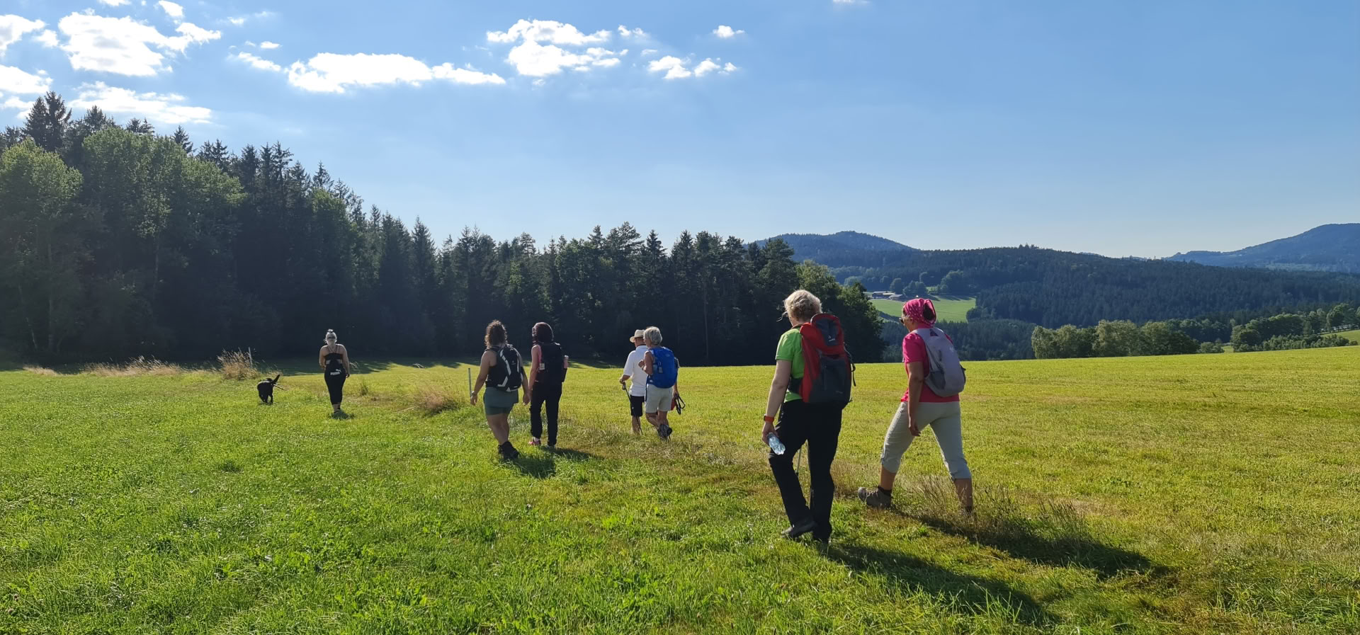 Yoga-detox-retreat med vandring på Kloster Waldbreitbach
