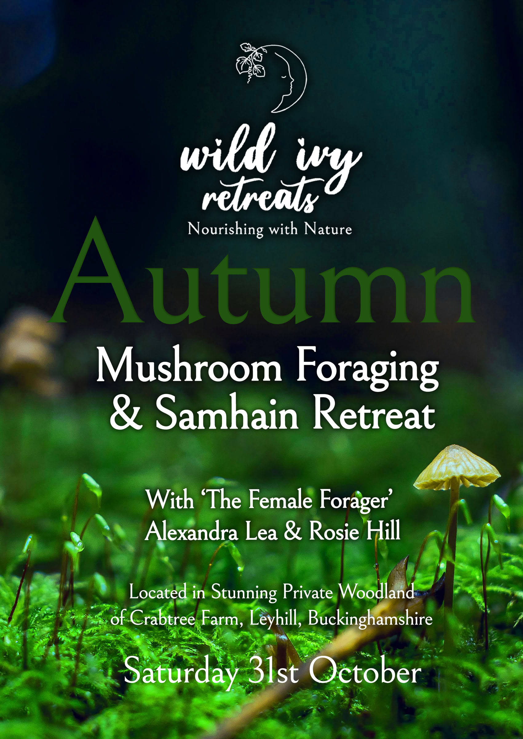 Höstens Samhain-vildplockningsretreat