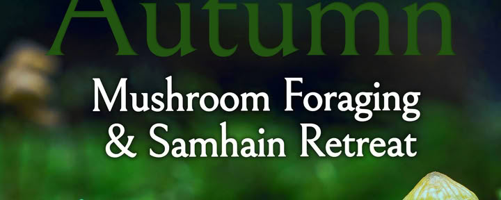 Höstens Samhain-vildplockningsretreat
