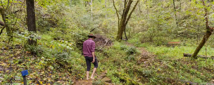 Yoga- och vandringsretreat | Yoga-retreat i Smoky Mountains — Seven Springs