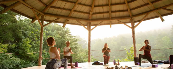 Yin- och somatisk yogalärarutbildning | Smoky Mountains — Seven Springs
