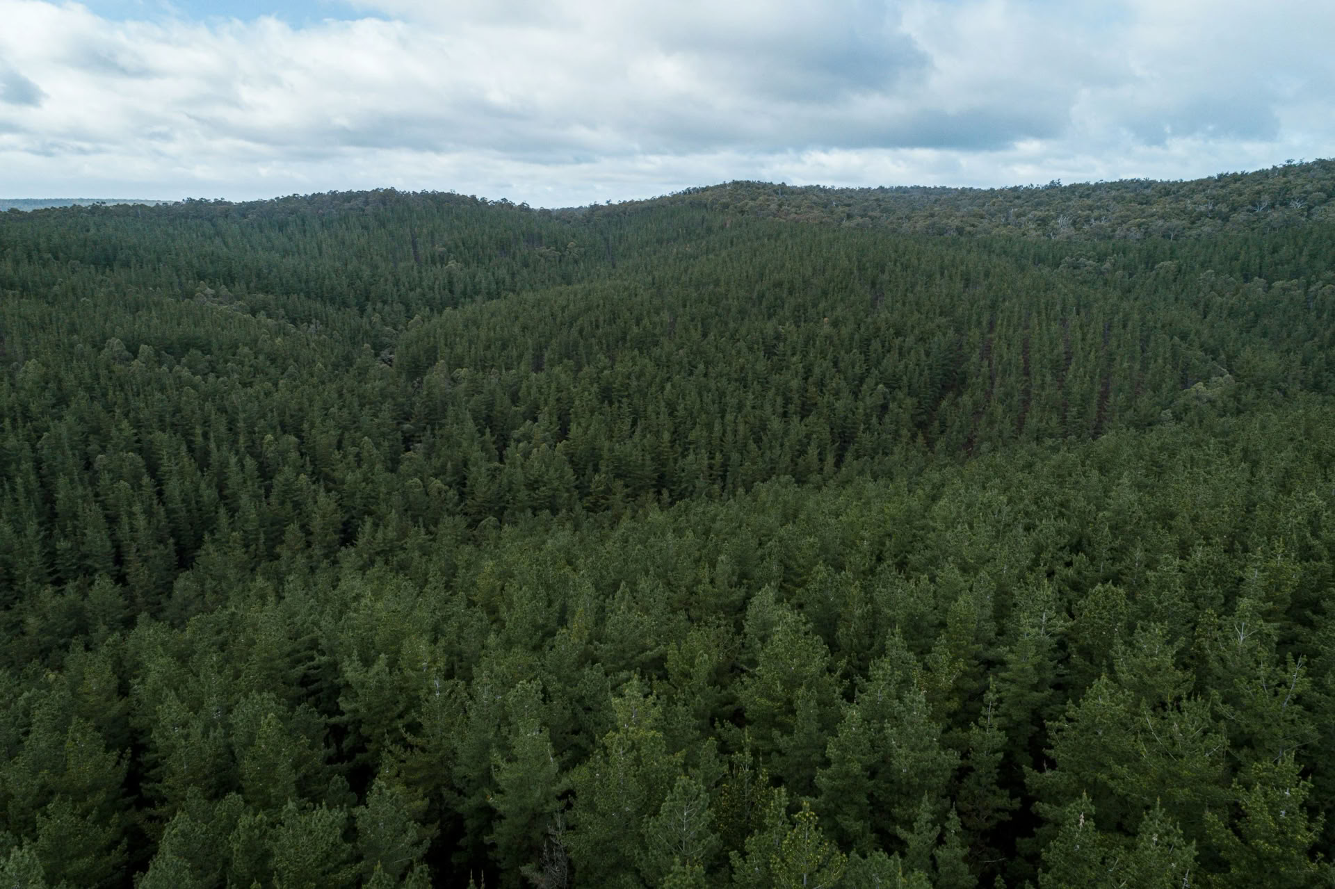Avkopplingsretreat