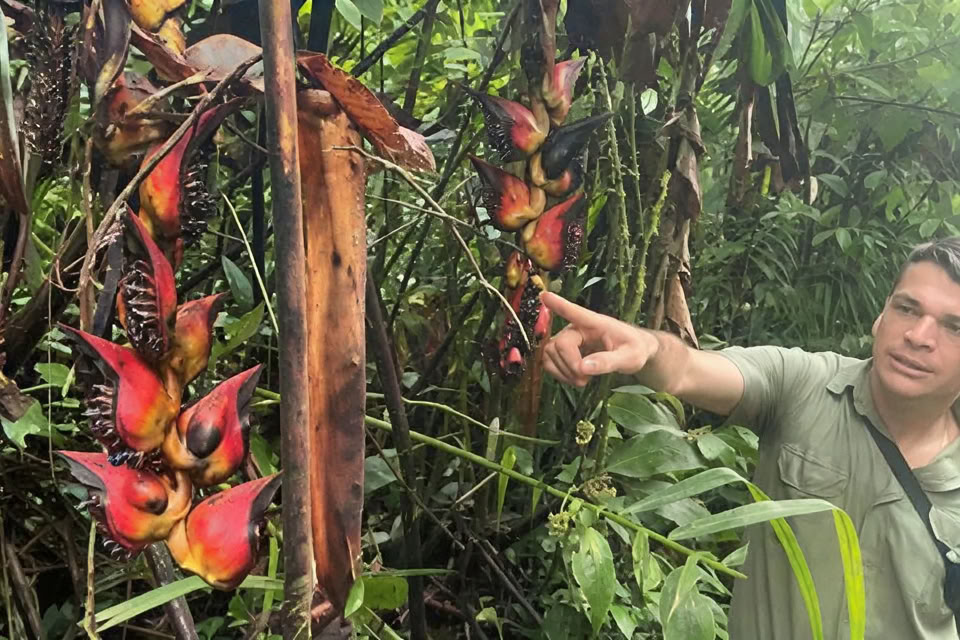 5-dagars/4-nätters yoga- och meditationsretreat i Tamarindo, Costa Rica