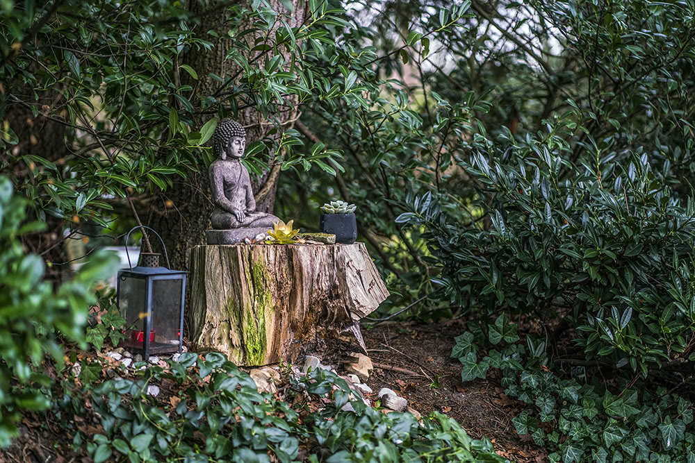 5-dagars psilocybinretreat – 5 dagar – 15–19 mars 2027