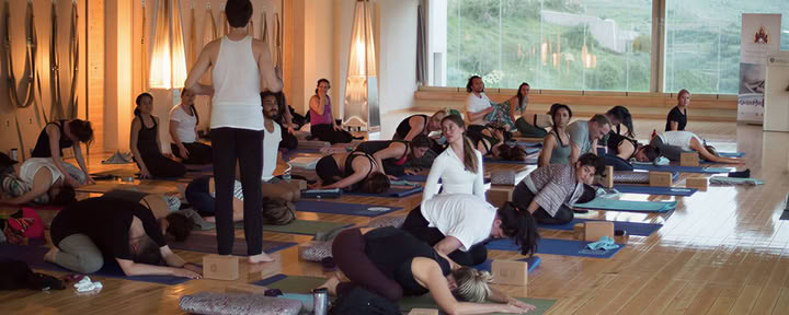 Elysia Yoga Convention