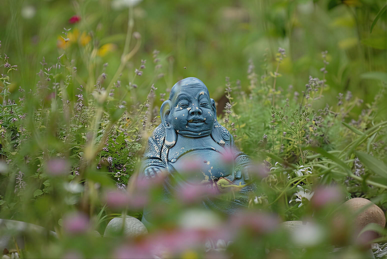 Tyst meditationsretreat med Liz Frost: 5 nätter
