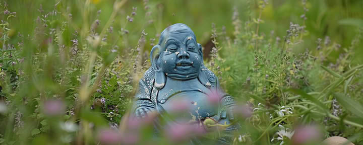 Tyst meditationsretreat med Liz Frost: 5 nätter