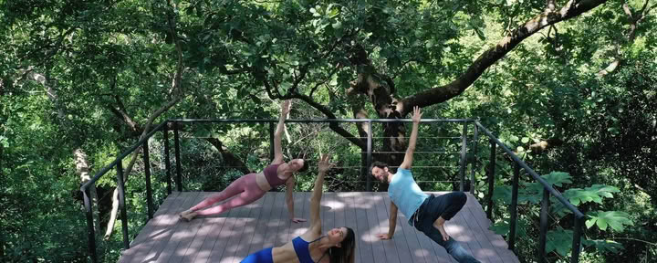 Klipphyoga