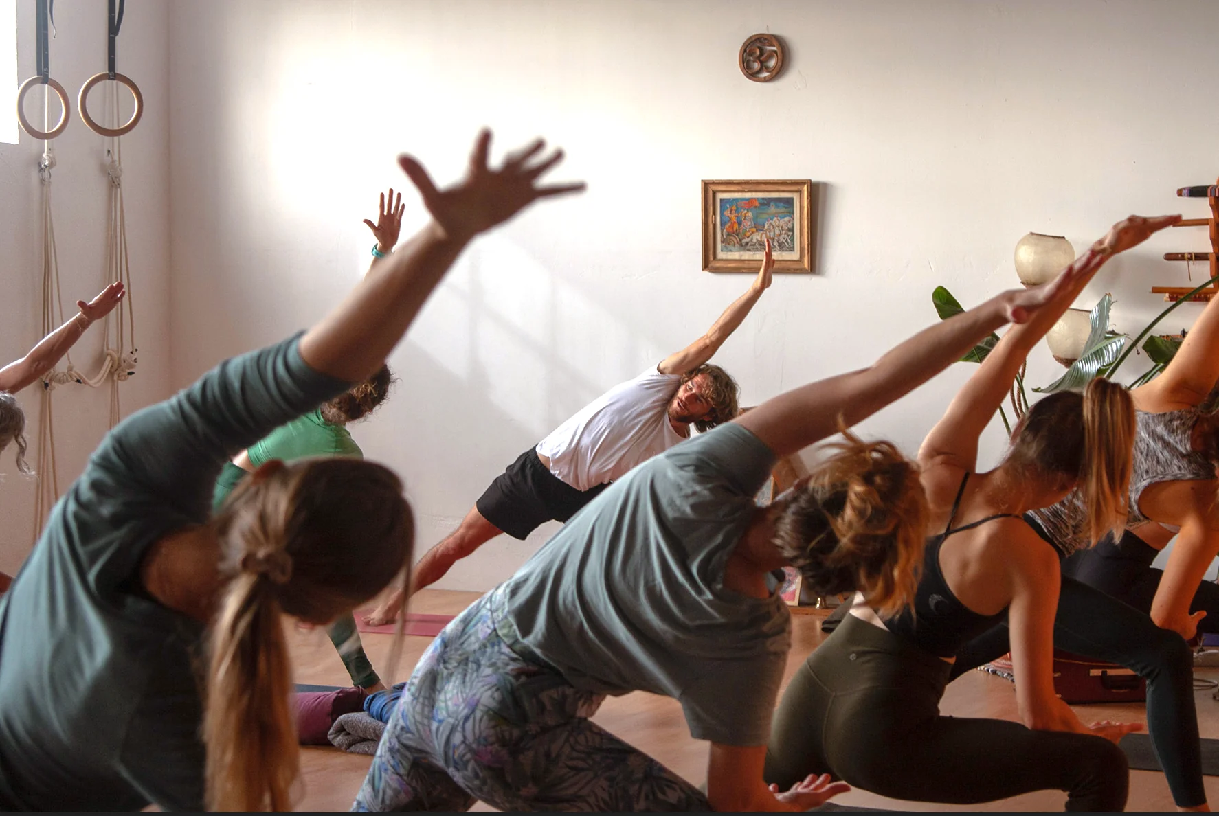 Fascians hemliga liv – workshop