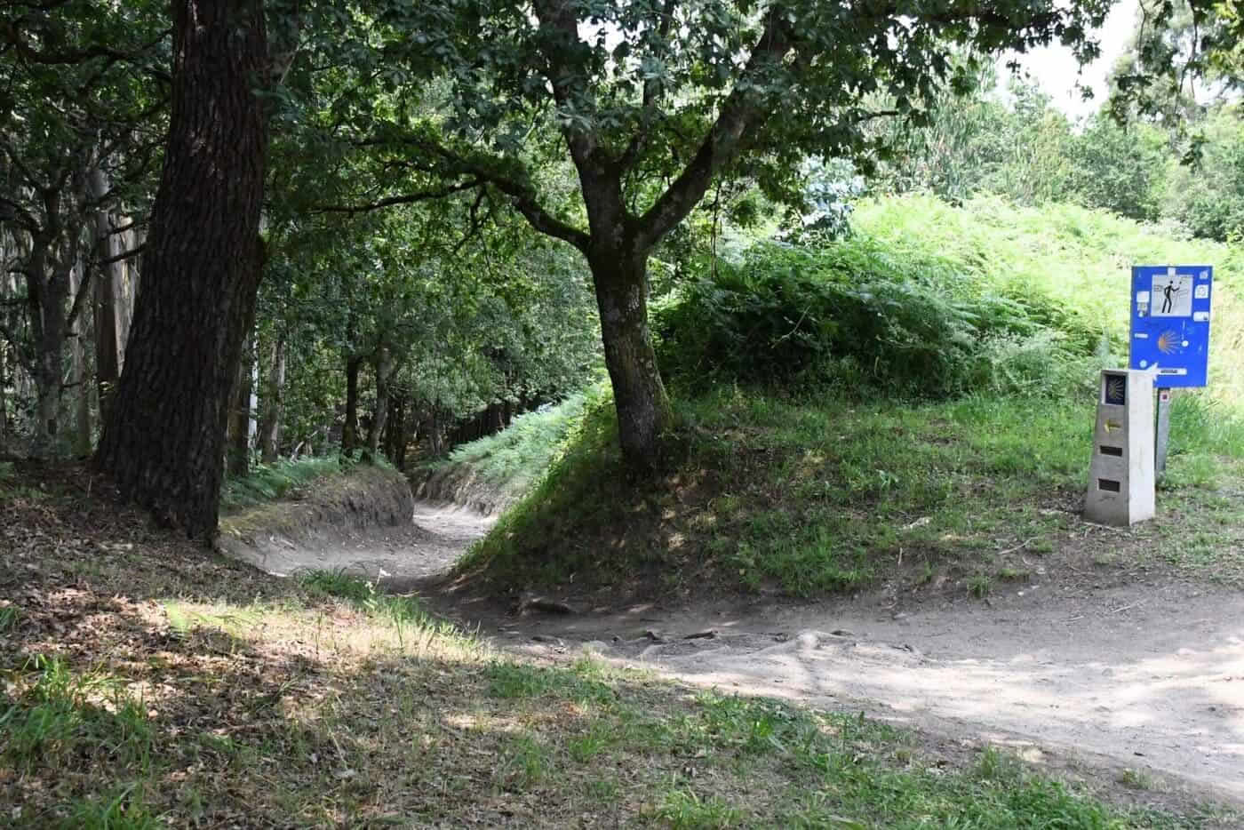Portugisiska Camino de Santiago från Tui i 5 etapper, komfortklass