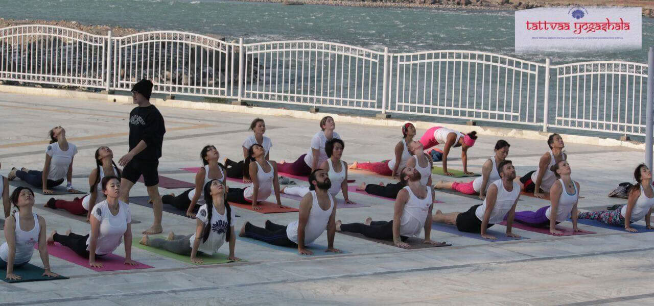 500-timmars yogalärarutbildning Rishikesh