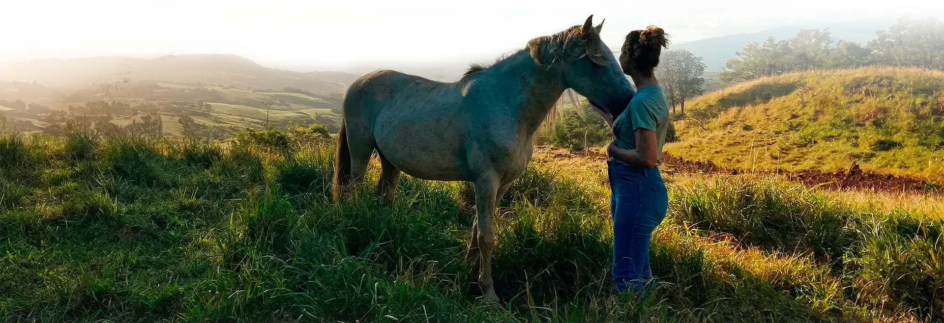 Att knyta an till källan inom dig