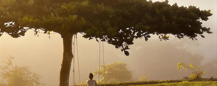 Beckley Retreats - Jamaica