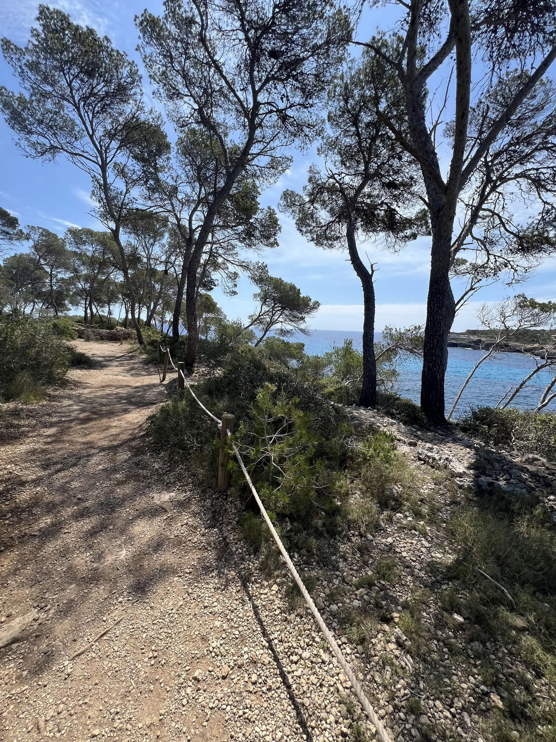 Lyxig yogaretreat på Cal Reiet – 1–5 september 2026