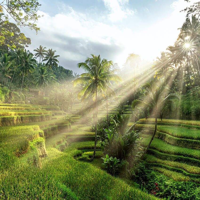 Ubud, Bali