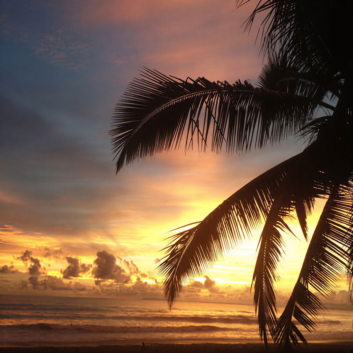 Retreat vid Jaco Beach, Costa Rica