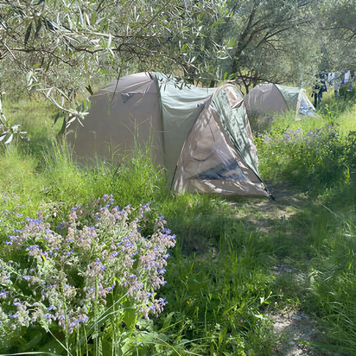 Gravidyogaretreat - Spanien