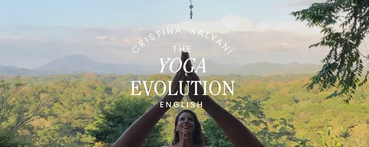 Yogaevolutionen