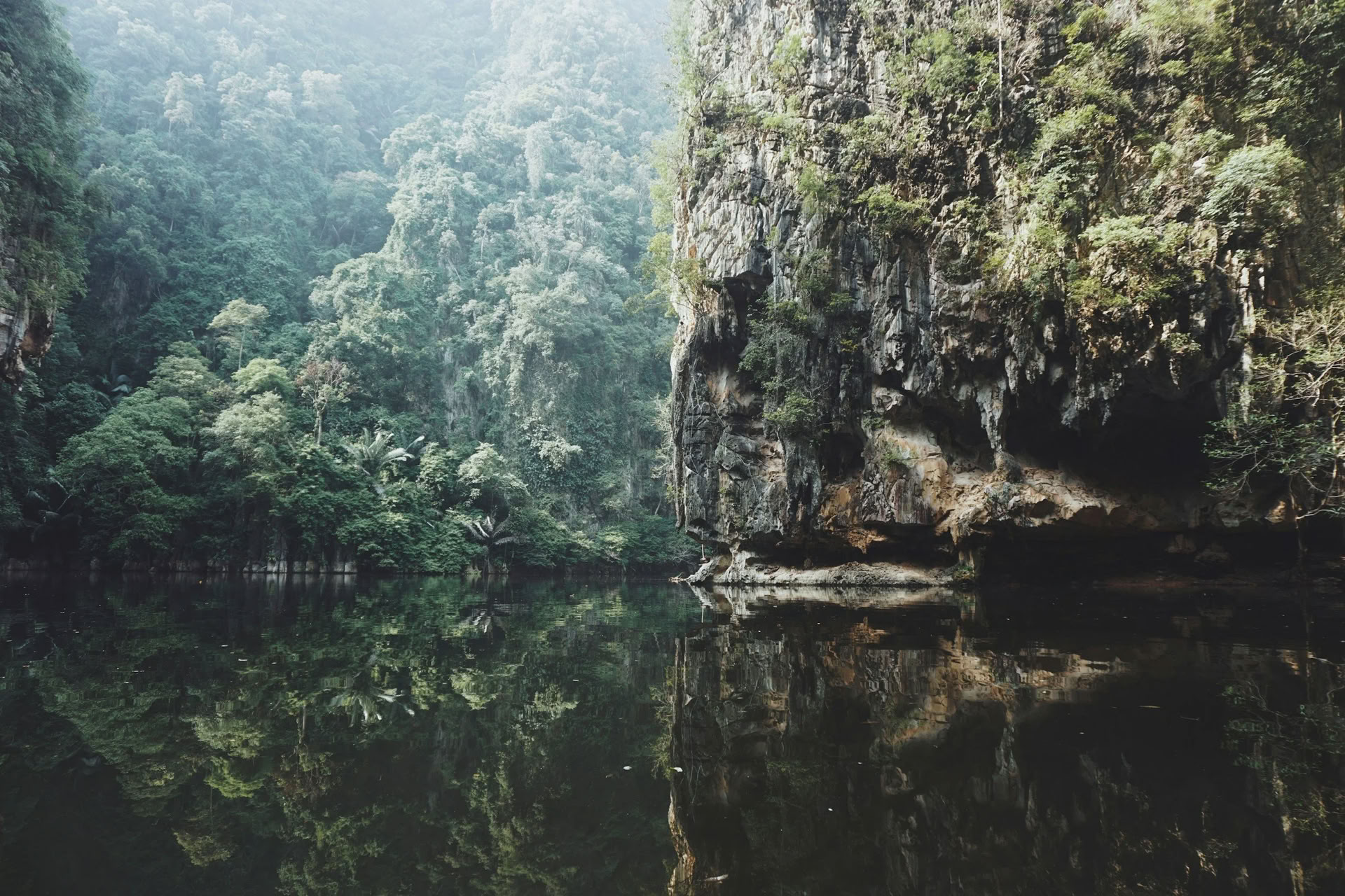 8-dagars ayahuasca-retreat