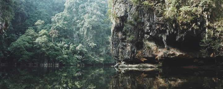 11-dagars ayahuascaretreat
