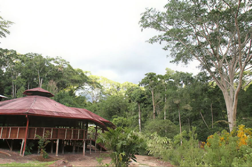 Ayahuasca-helgretreat