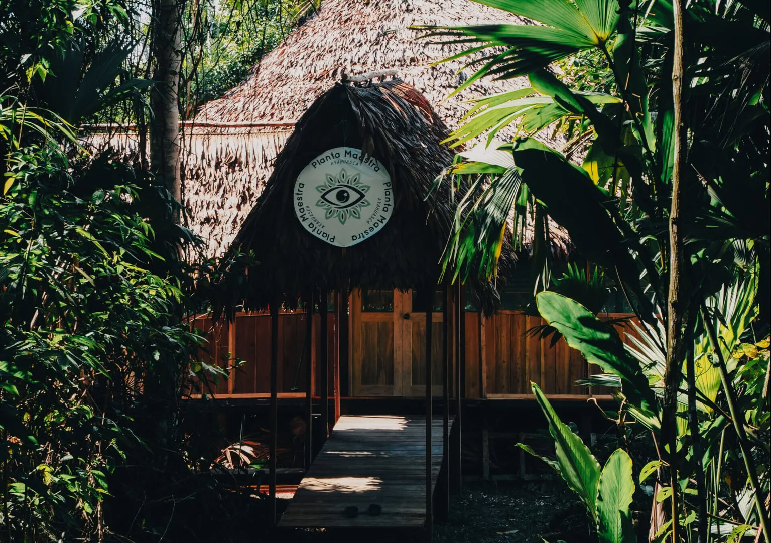 7-dagars ayahuascainitiation