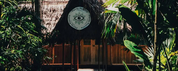 7-dagars ayahuascainitiation