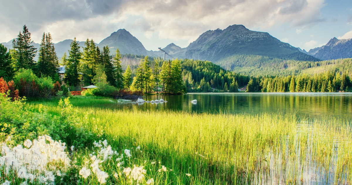 Wellnessretreat i Slovakien – sommar